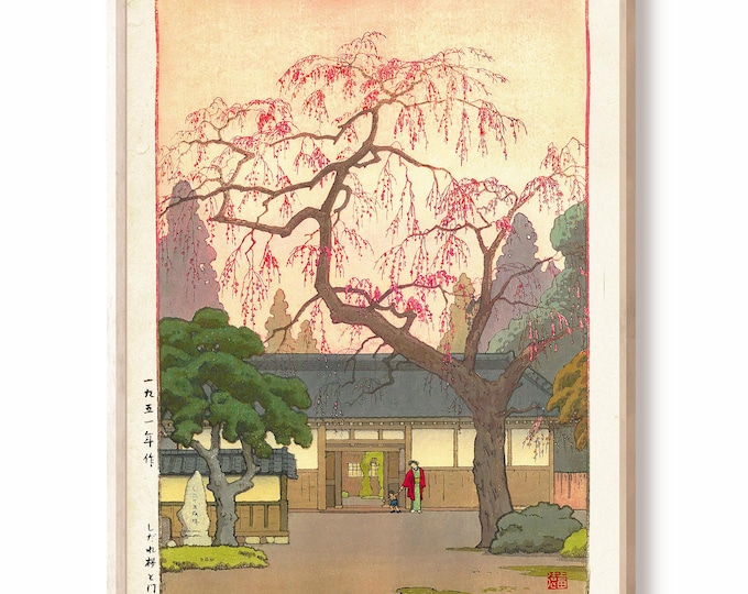 Toshi Yoshida, cherry blossom ukiyo-e print, shin hanga, cherry blossom tree, Japanese flower art