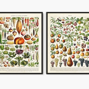 Fruit and Vegetable posters, Larousse old book,vegetables decor, kitchen posters, food poster, vegetables art, kitchen wall poster