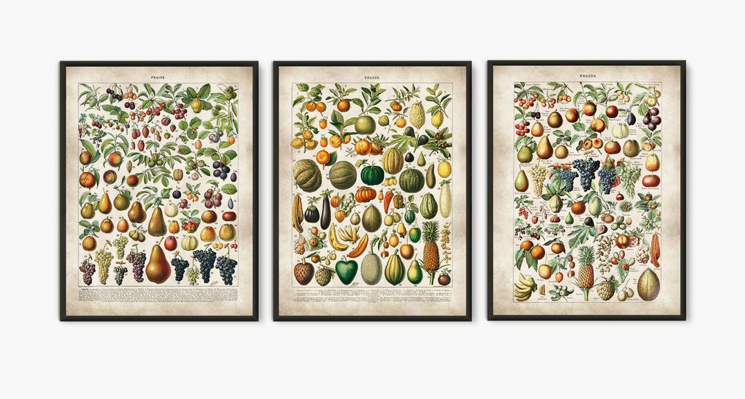 set of 2 kitchen prints | kitchen wall art, fruit wall... Fruit Kitchen Art Print Set: Colorful Illustration, Set of 3 - Etsy