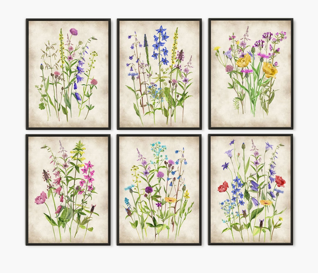 Art Plants 6 Decor, Watercolor Field Flower Meadow of Colorful - Wall Etsy Wildflowers Wild Set Painting Painting, Prints, Floral Art, Botanical