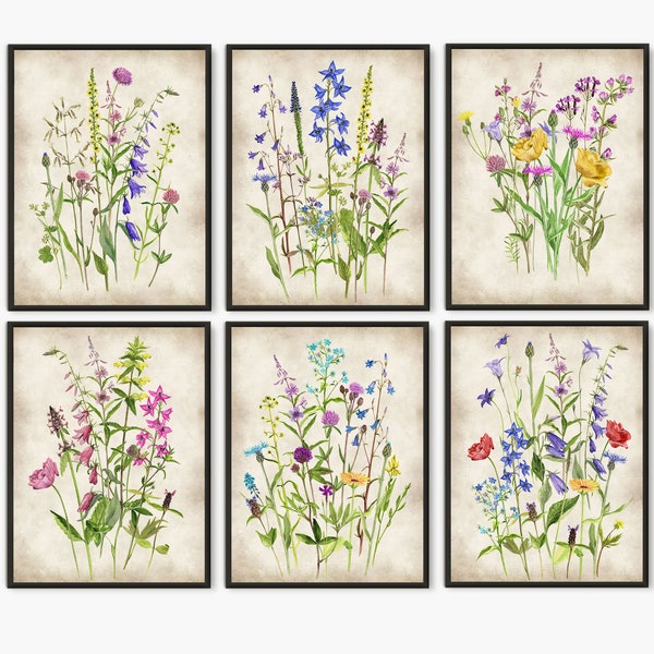 Botanical print wildflowers watercolor painting set of 6 prints - Floral Wall Art Perfect for Kitchen Decor