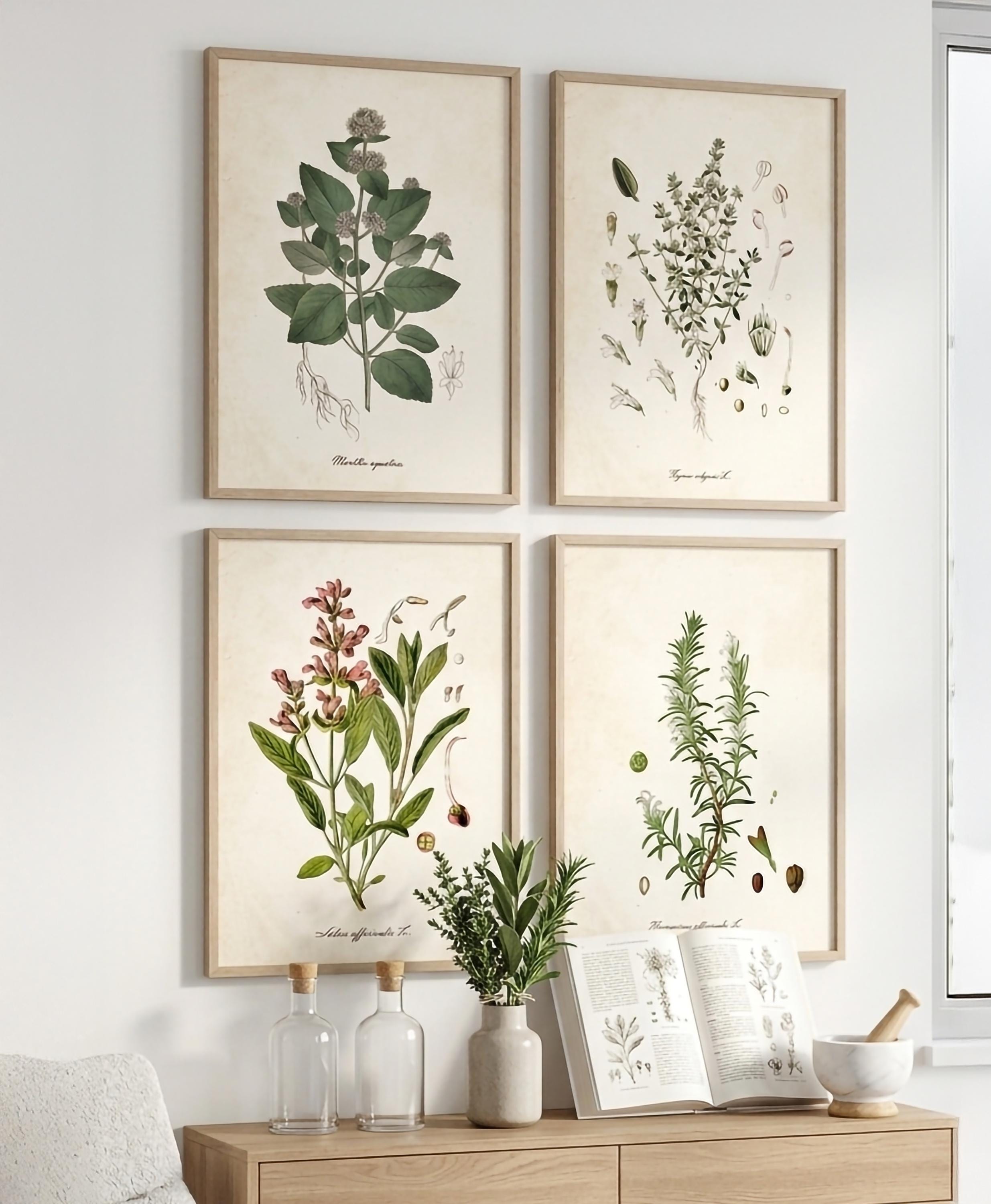 19th Century Botanic - Etsy