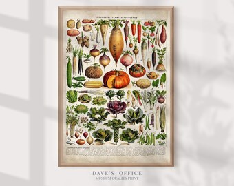 Vintage Tree Print: Larousse Botanical Art, Adolphe Millot Illustration