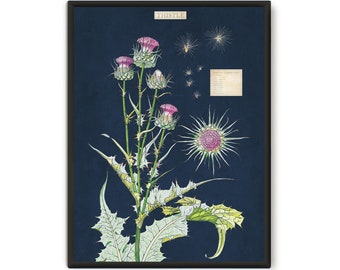 Wildflower Thistle Print - Beautiful Botanical Wall Art Poster for Nature Lovers - Herbarium Art Wildflower Thistle botanical illustration