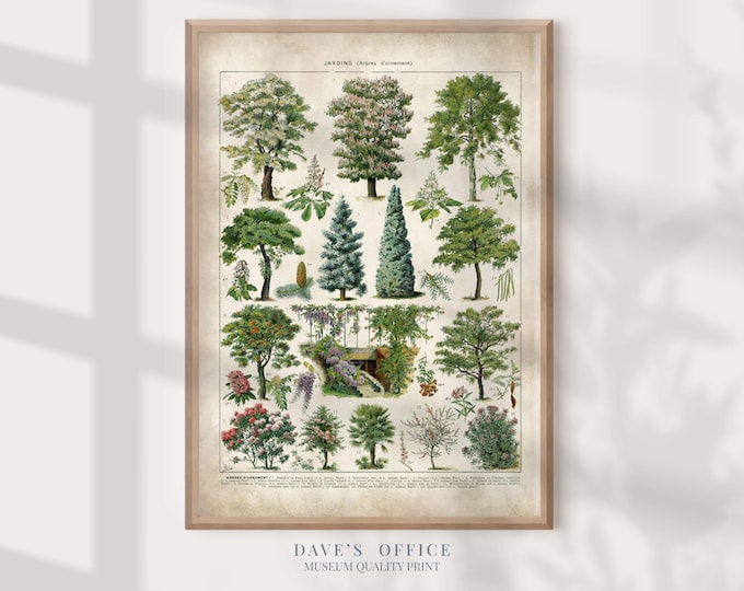 Tree Wall Art Print: Vintage Larousse Botanical - Green Nature