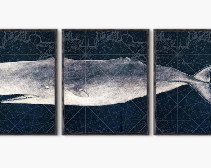 Moby Dick Wall Art Poster Set Of 3 , Moby Dick, Whale Art Print, Whale Poster, Whale Wall Art,Marine Biology,Moby Dick Print,Whale Print