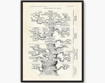 Tree of life , Ernst Haeckel Scientific Illustration, Natural Science print