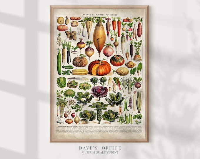 Vintage Tree Print: Larousse Botanical Art, Adolphe Millot Illustration