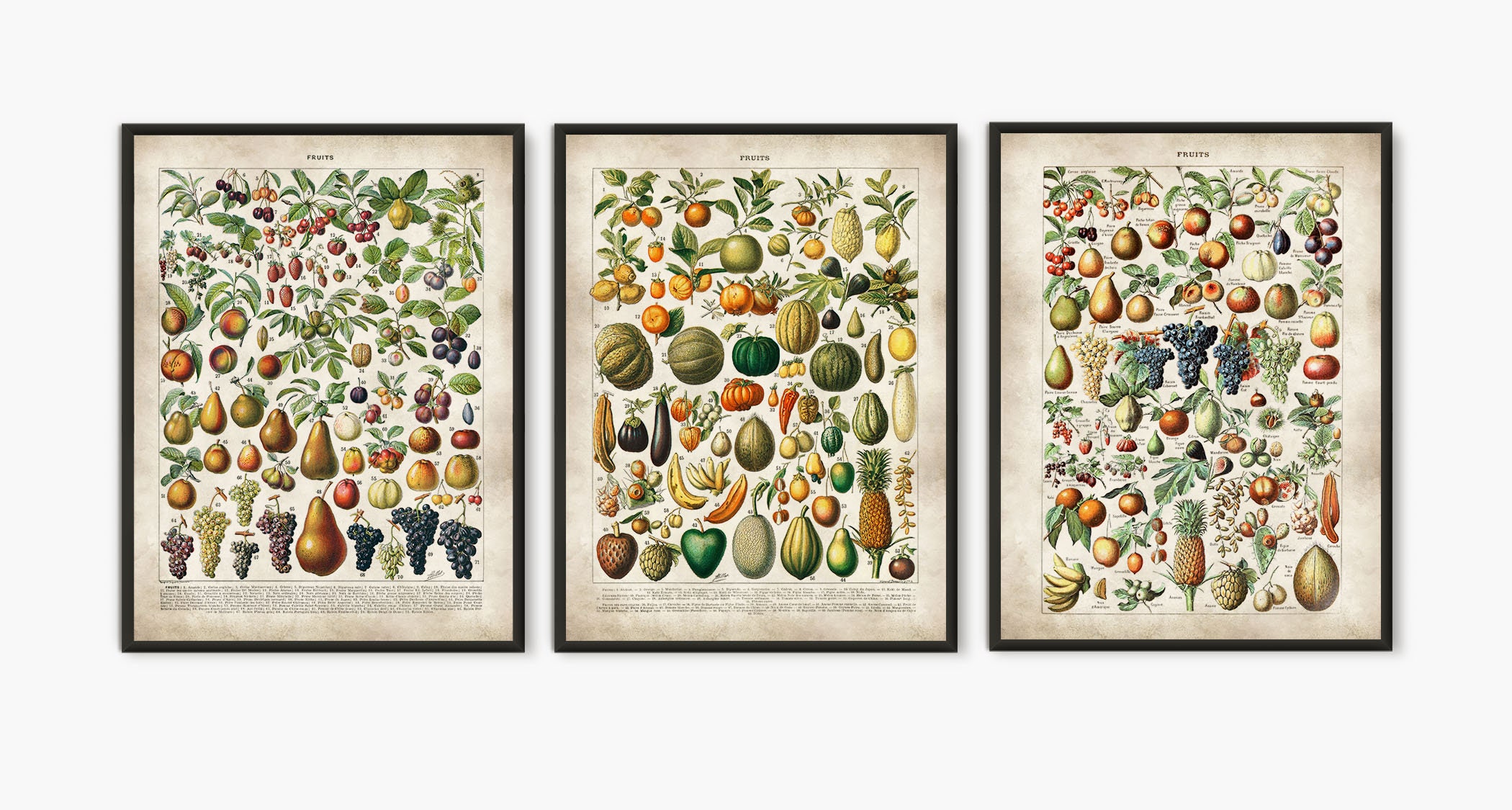Fruit print kitchen poster fruit wall art fruit Etsy