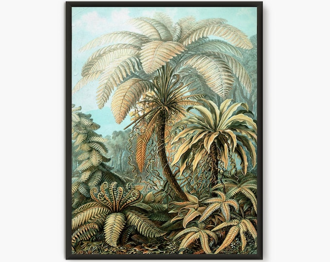 Ernst Haeckel Scientific Illustration, Botanical Illustration, Botanical Poster
