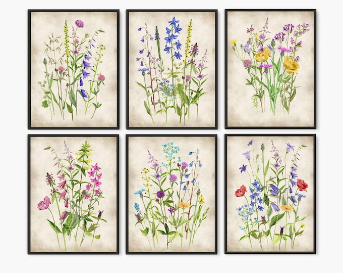 Wildflower Watercolor Painting Prints: Botanical Kitchen Wall Art, Set of 6