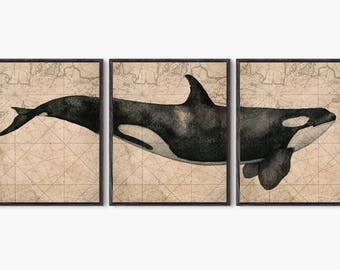 Killer whale, Orca Whale, Whale painting, Whale watercolor, Sea animals Art, Nautical Decor, Sealife Wall art, Whale poster, Ocean Animals