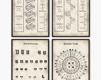 Dna wall art, Set of 4,Dna molecule, Rna molecule, Science art, Medical art, Genetic Code, Dna poster, Dna, Biology Poster, Genetic Print D4