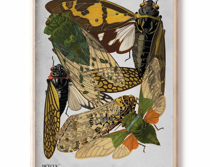 Seguy illustration,Insects Vintage Cicadas Print, nouveau style poster Larousse Illustrations, Home decor farmhouse decoration