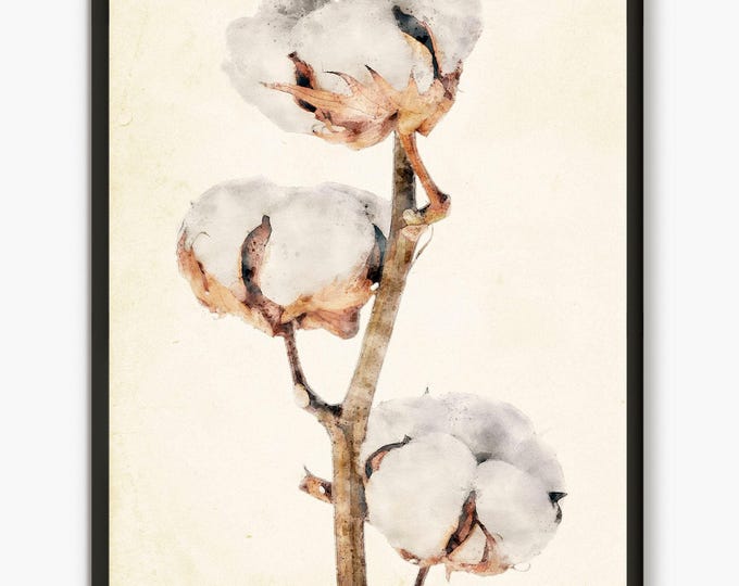Cotton Brunch Plant, Watercolor, Watercolor Decor, Cotton Flower Painting