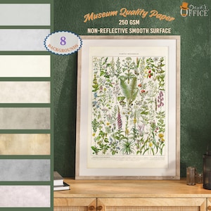 Vintage botanische kunstprint - wanddecoratie medicinale plant, Larousse-stijl kruidengrafiek, groene plant bloem illustratie, kruidkundige cadeau