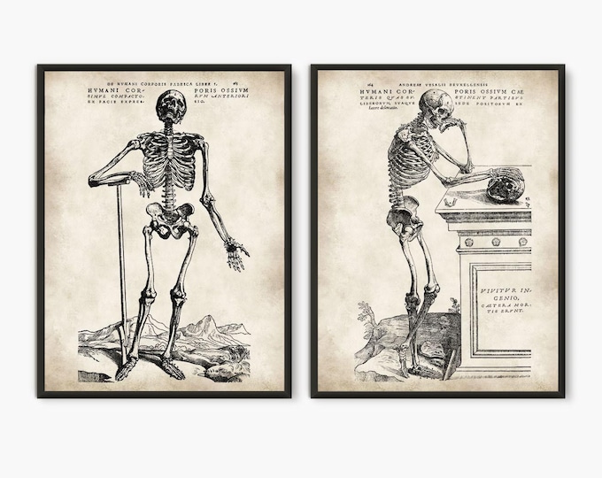 Vintage Anatomy posters Set of 2 print - Human Skeleton Anatomical Art, Halloween decor Print Set with Skeleton