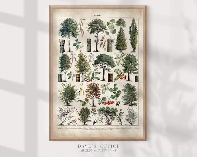 Tree Print Wall Art, Larousse Botanical Art Print, Family Tree Poster, Nature-Inspired Home Decor, Vintage Tree Illustration, Nature Print