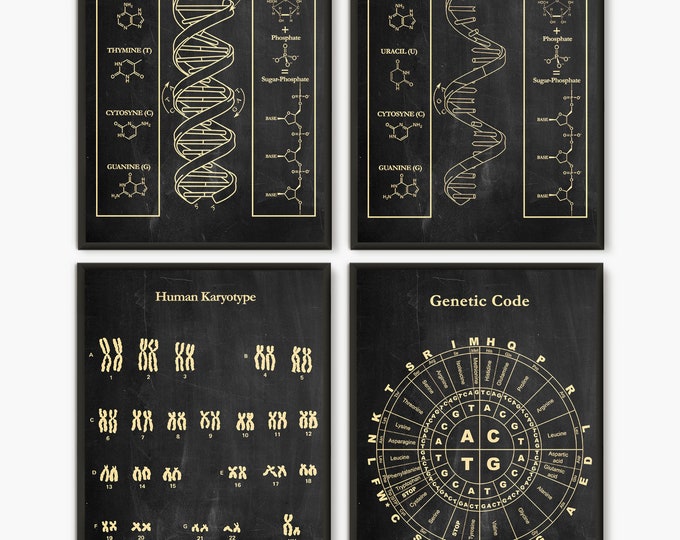 DNA Print Art, Science Art, Human DNA, Set of 4 prints, Biology Print, Science Art Print, Wall Art Poster, Human Keryotype, Genetic Code D4