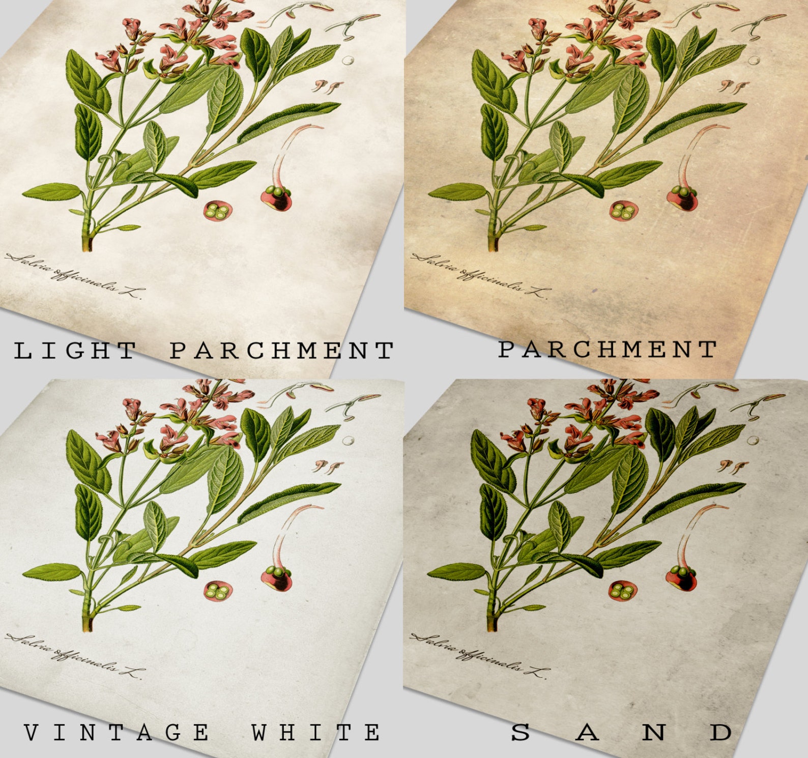 Kitchen Herbs Kitchen Wall Art Print Set of 9 Vintage - Etsy