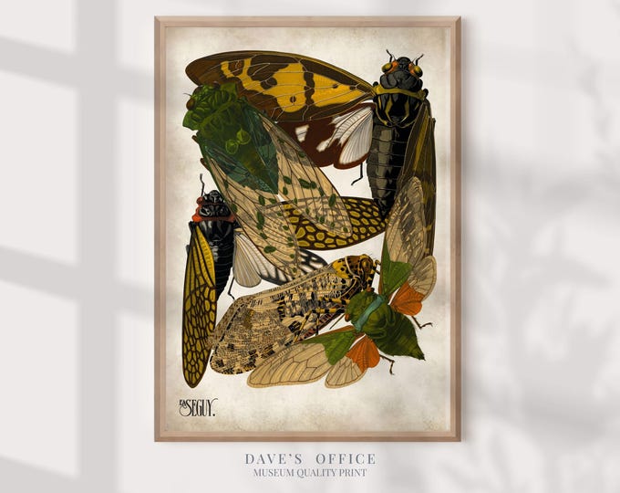 Cicadas Poster: Insect Illustration Art Nouveau Seguy print