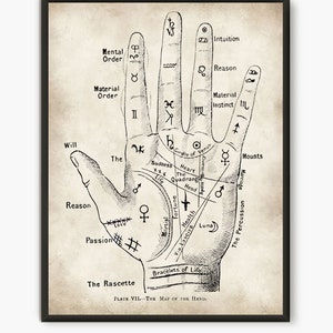 Palmistry art, palmistry hand, palmistry wall art, vintage palmistry, palm print, palmistry guide, illustration print, palmistry, art print