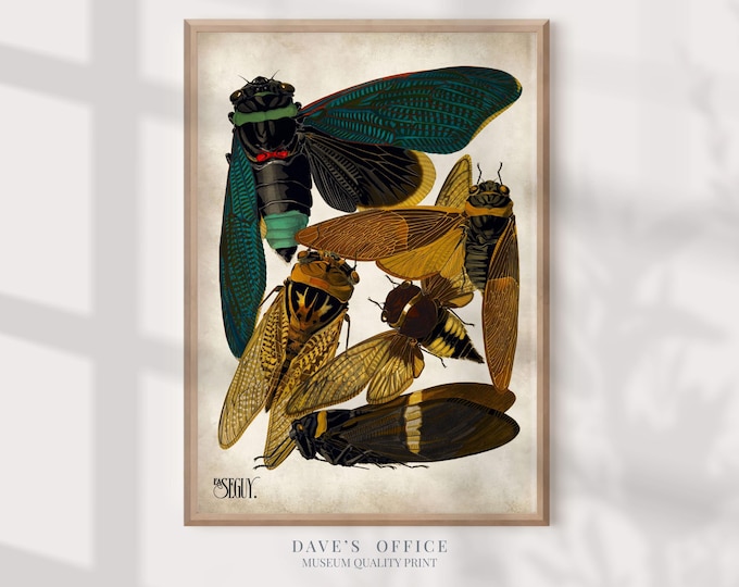 Cicadas Print: Art Nouveau poster Insects wall decor
