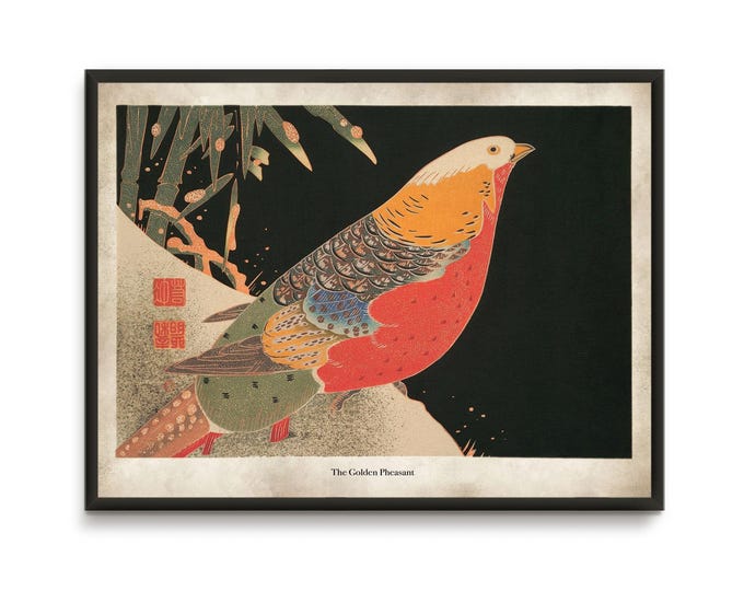 Golden Pheasant Japanese Print, Antique Rare Japanese art
