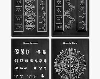 Dna wall art, Set of 4,Dna molecule, Rna molecule, Science art, Medical art, Genetic Code, Dna poster, Dna, Biology Poster, Genetic Print D4