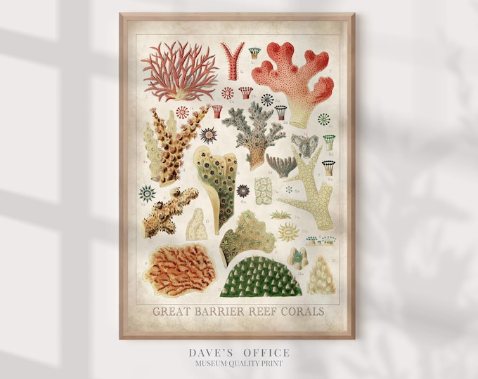 coral poster, ocean life wall art, beach house decor