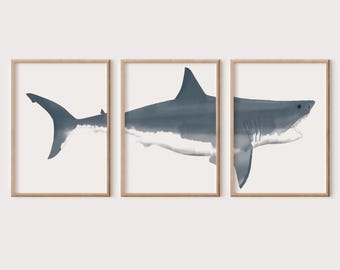 May include: Three framed prints featuring watercolor illustrations of sharks in shades of blue and gray. The artwork is displayed in wooden frames against a white background. The text "DAVE'S OFFICE MUSEUM QUALITY PRINT" is at the bottom.