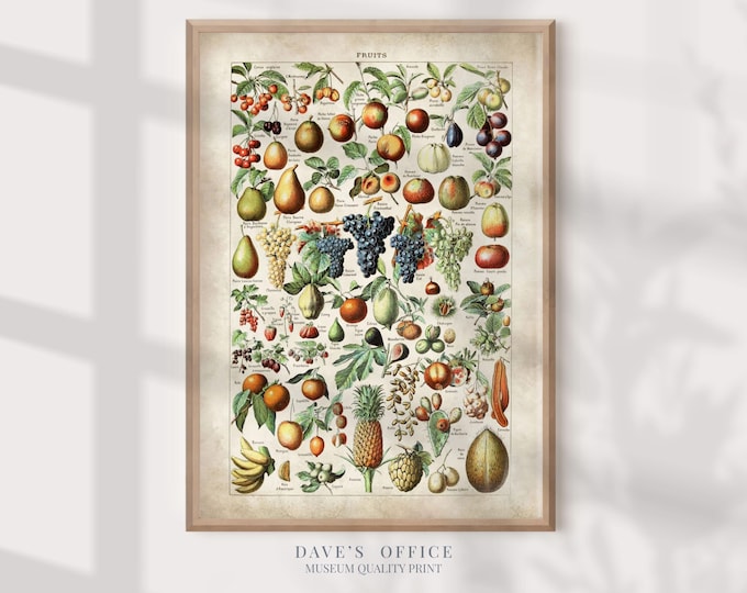 Fruit Wall Art Larousse Kitchen Poster - Botanical fruit illustration, fruit poster for kitchen and living room decor