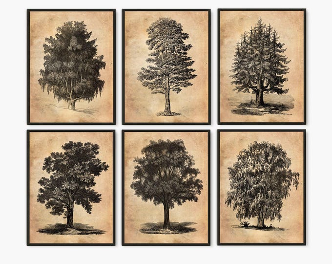 Set of 6 prints , trees illustrations, Botanical wall art for home decor, Trees prints