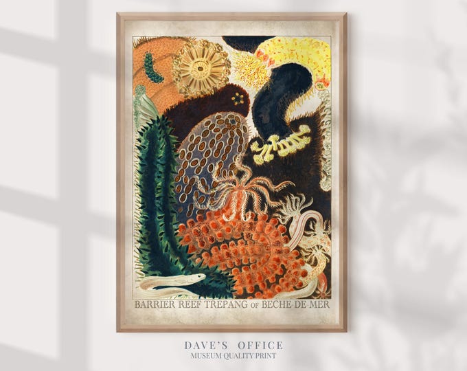 coral poster, barrier reef marine life wall art, beach house decor