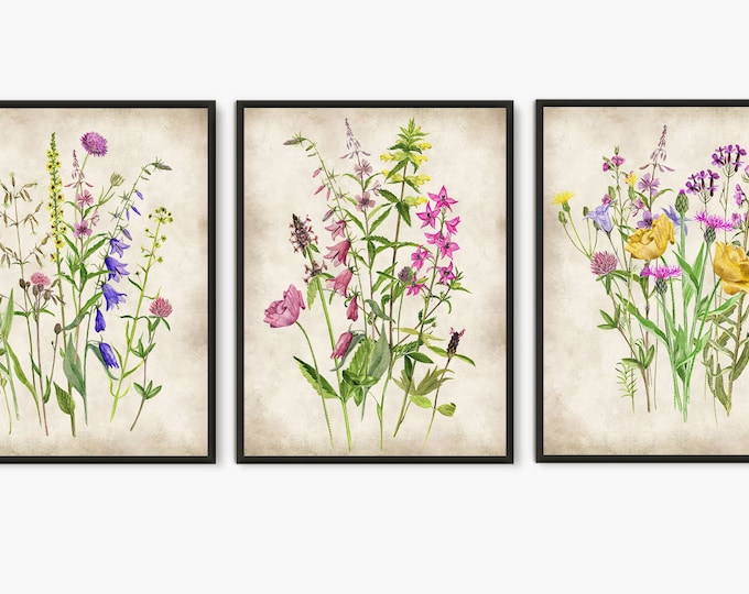 Botanica wall art set of 3 prints - wildflower watercolor painting - Flower wall art for new home gift