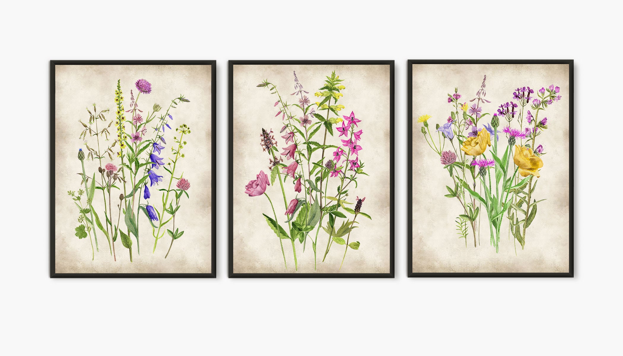 Comprar Cortina Baño (Wild Flowers)