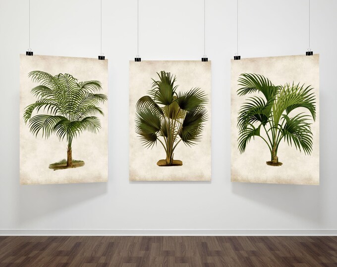 Palm tree print Palm tree wall art Tropical leaf print Palm Leaves, Palm trees Palm Leaf Tropical palms Tropical Garden Art Set 3 #215