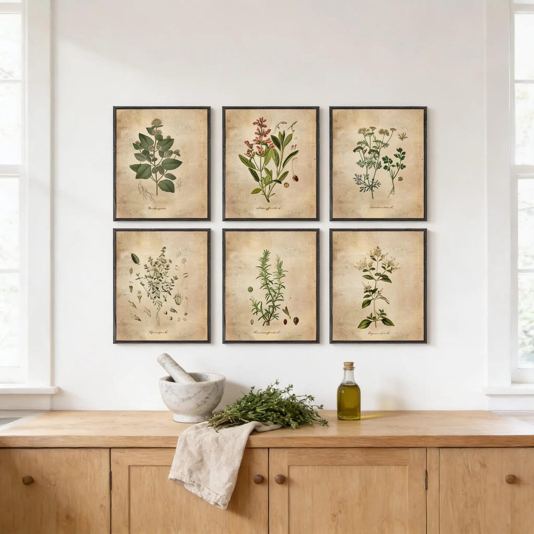 Herb Prints Set of 6, Vintage Botanical Cottagecore Wall Art - Etsy