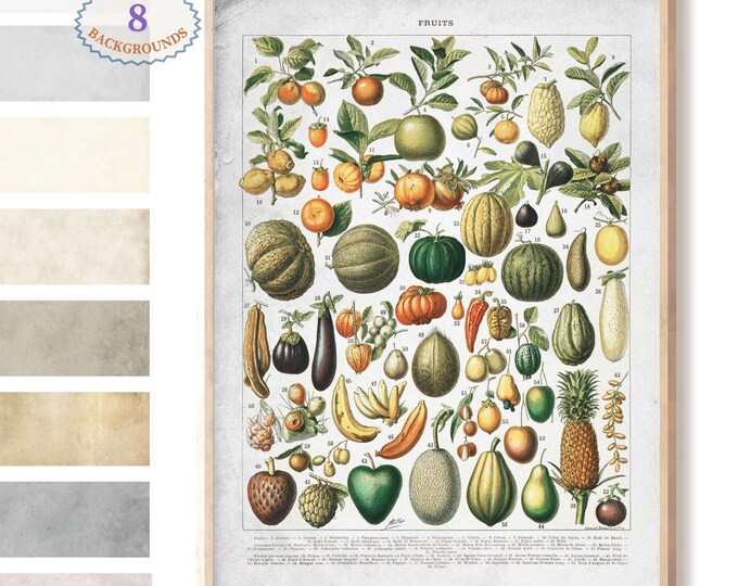 Fruit Print Wall Art - Larousse Old Book Illustration, Botanical Kitchen Poster, Nature & Botany Art for Home Decor