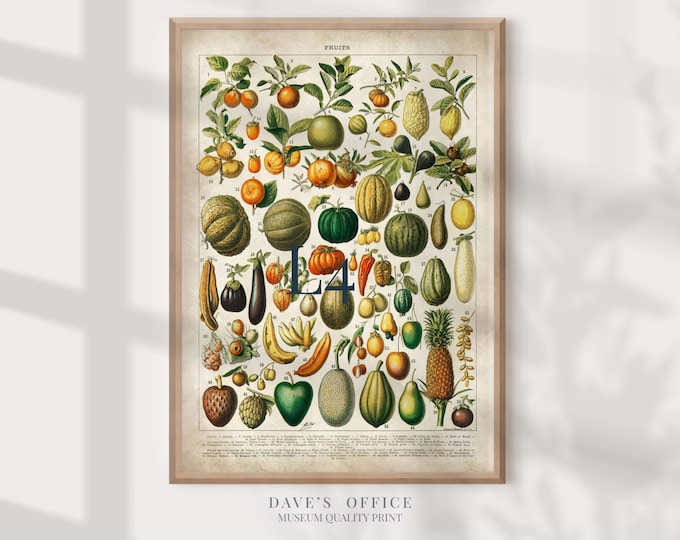 Fruit Print Wall Art - Larousse Old Book Illustration, Botanical Kitchen Poster, Nature & Botany Art for Home Decor