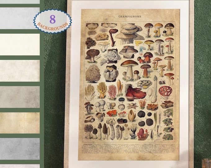 Adolphe Millot illustration,Mushroom print, Kitchen posters, Fungus art, Vintage art print, Botanical Poster,Botany poster, Fungus L20