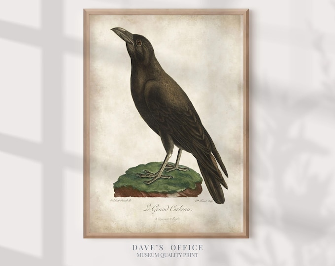Vintage Raven Print: Antique Book Page Illustration, Cottagecore Decor