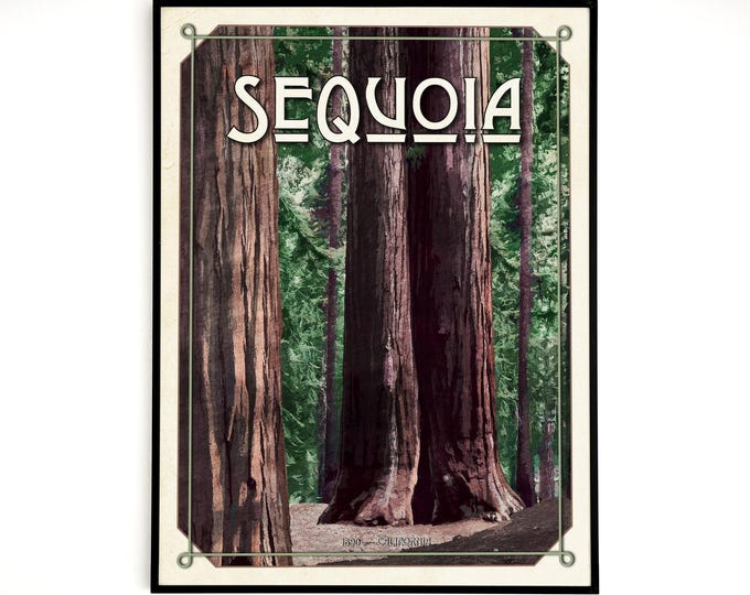 Sequoia National Park poster, Sequoia tree artwork, California print National Park Hiking gift
