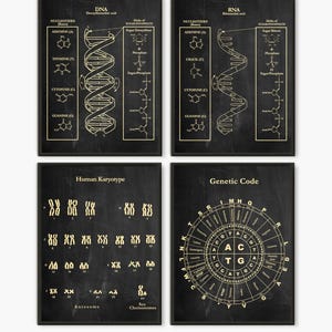 DNA Print Art, Science Art, Human DNA, Set of 4 prints, Biology Print, Science Art Print, Wall Art Poster, Human Keryotype, Genetic Code D4