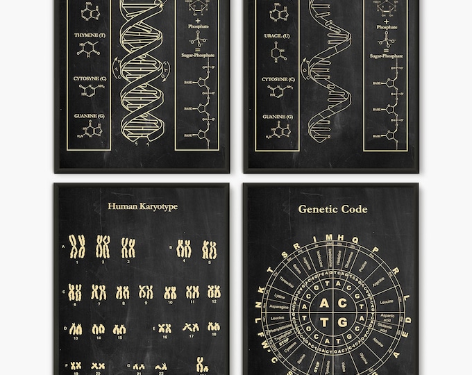 DNA Science Art Print Set: Human Karyotype, Genetic Code (Set of 4)