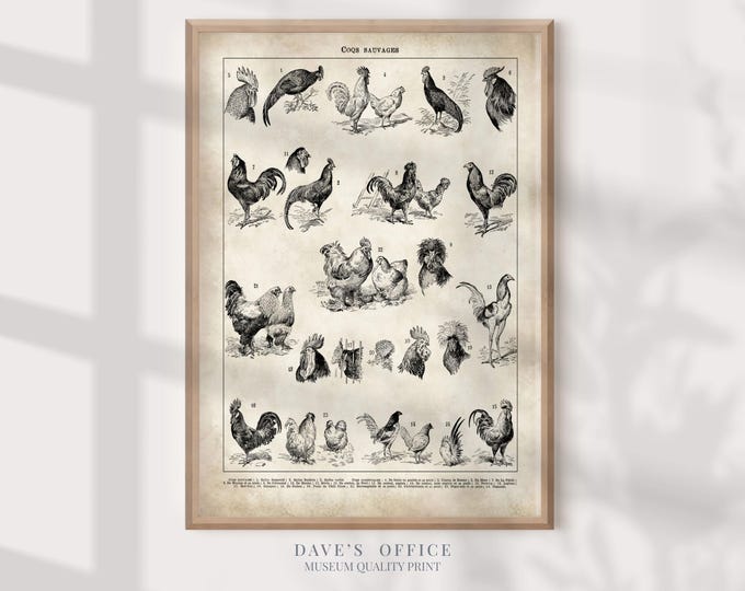 Chicken Breeds Chart, Adolphe Millot Print: Vintage French Farmhouse Poster