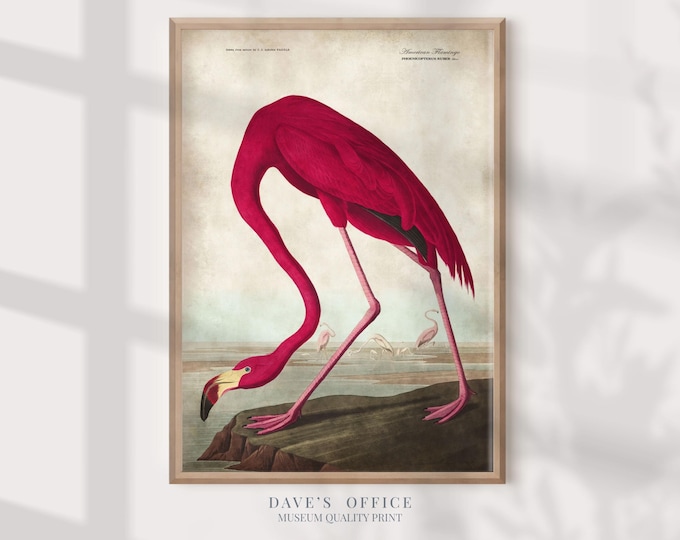 Audubon Pink Flamingo Print, Antique Birds of America Wall Art, Large Flamingo Bird Print for Bird Lover Gift