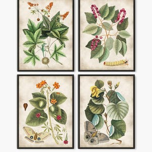 botanical and insects print set, Set of 4 Green leaves vintage botanical poster, Insect prints boho home decor, nature lover gifts