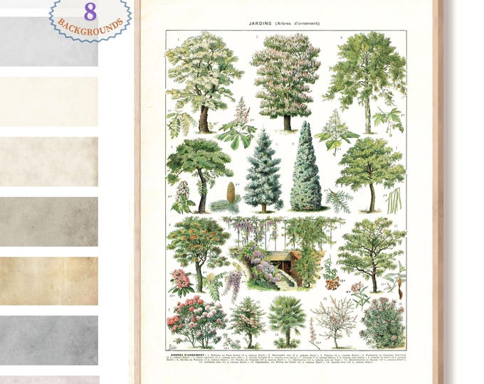 Adolphe Millot illustration,wall art print, Larousse Decorative book, green trees art print,  botanical illustration, nature wall art, L15