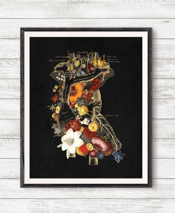 Giclée Archival Art Print Vintage Anatomy Floral Heart Brain Print Set ...